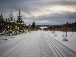 Les meilleurs spots de ski de fond pour une échappée nordique