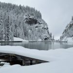 Restaurants avec vue : savourer l’altitude à courchevel 1550